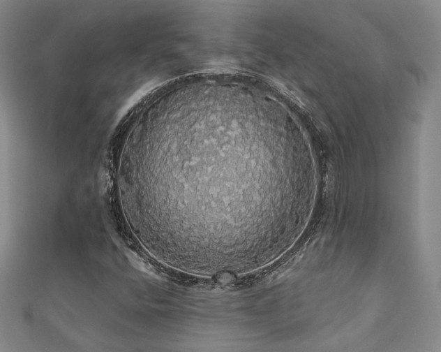 X0000110701400200906121324