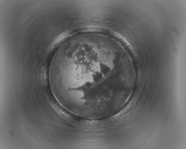 X0000110701403200906121324
