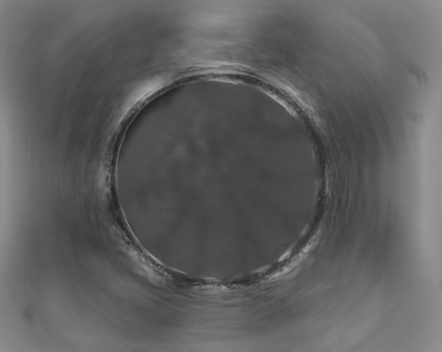 X0000110701405200906121324