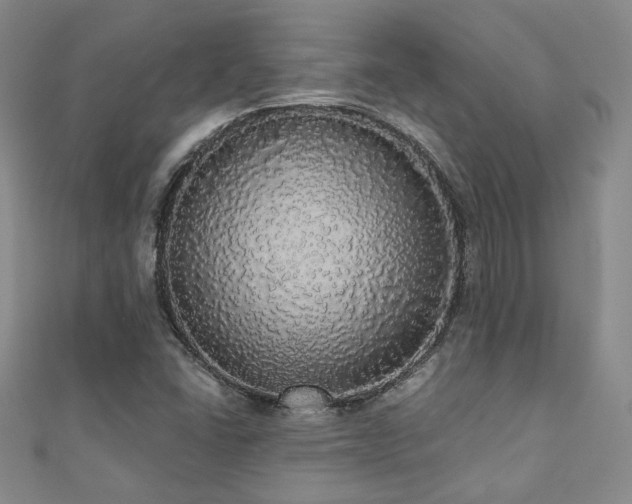 X0000110701406200906121324