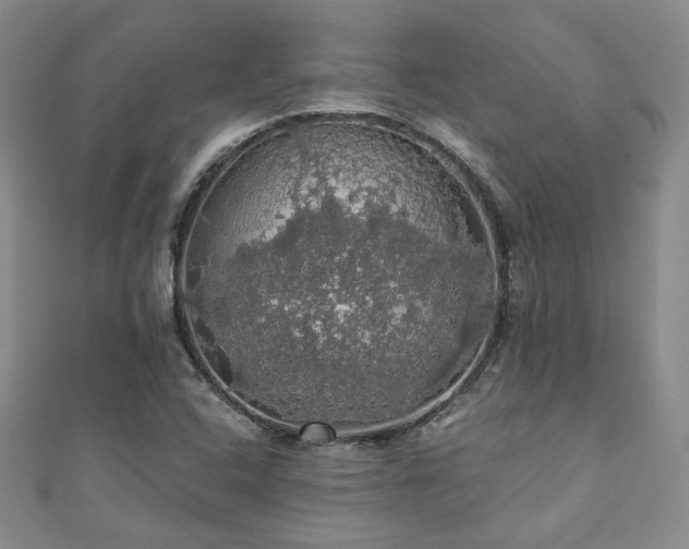 X0000110701408200906121324