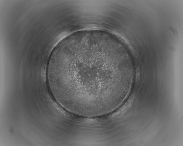 X0000110701409200906121324