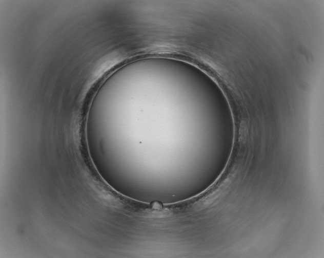 X0000110701410200906121324