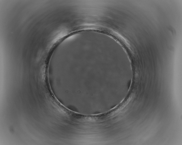 X0000110701411200906121324