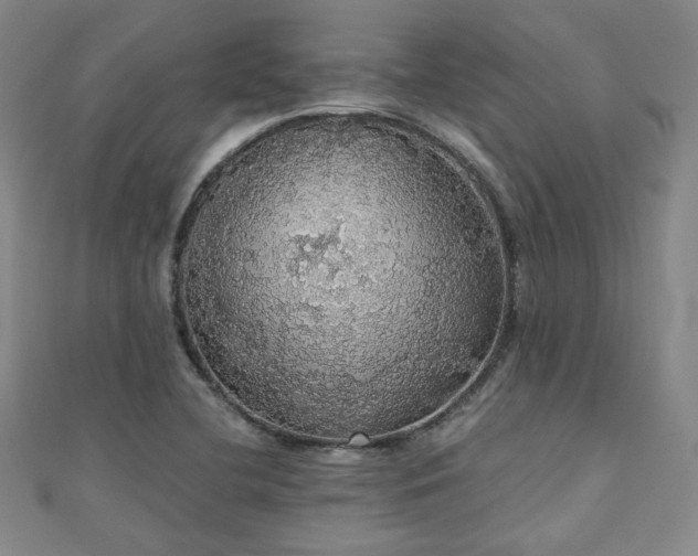 X0000110701412200906121324