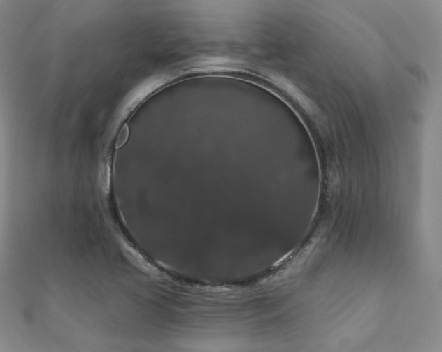 X0000110701413200906121324