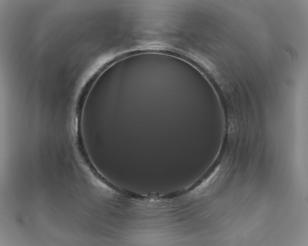 X0000110701414200906121324