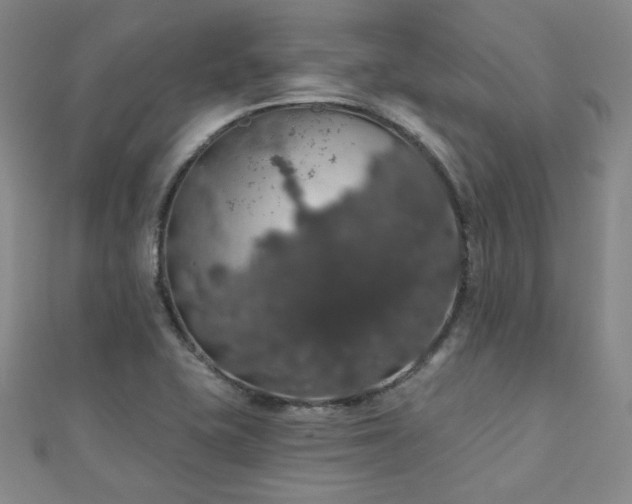 X0000110701415200906121324