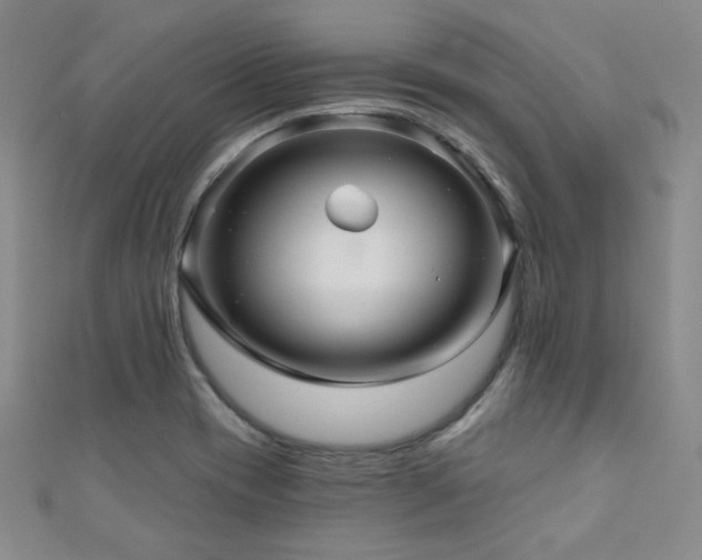 X0000110701417200906121324