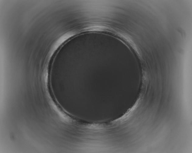 X0000110701418200906121324