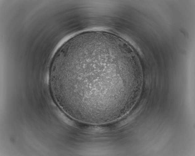 X0000110701420200906121324