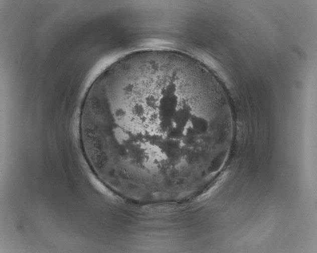 X0000110701421200906121324