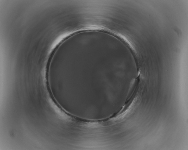 X0000110701422200906121324