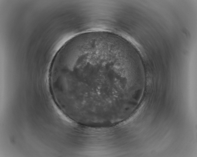 X0000110701423200906121324