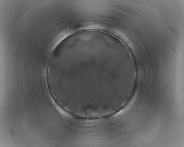 X0000110701425200906121324