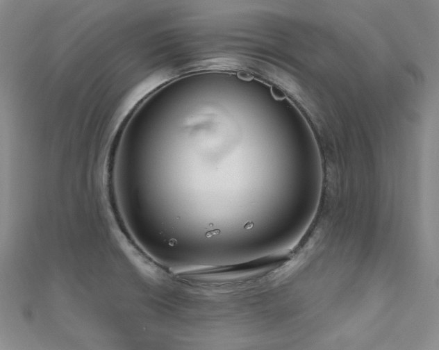 X0000110701426200906121324