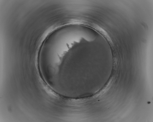 X0000110701427200906121324