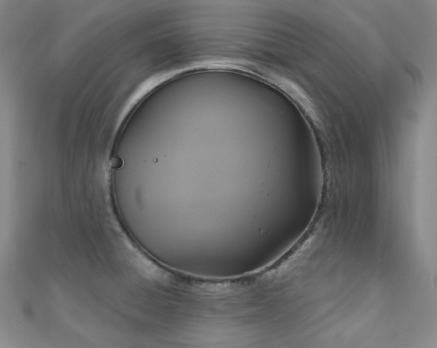 X0000110701428200906121324