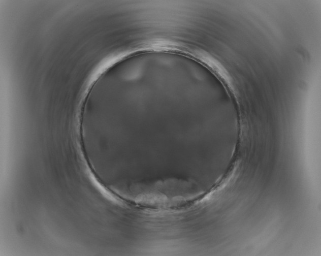 X0000110701429200906121324