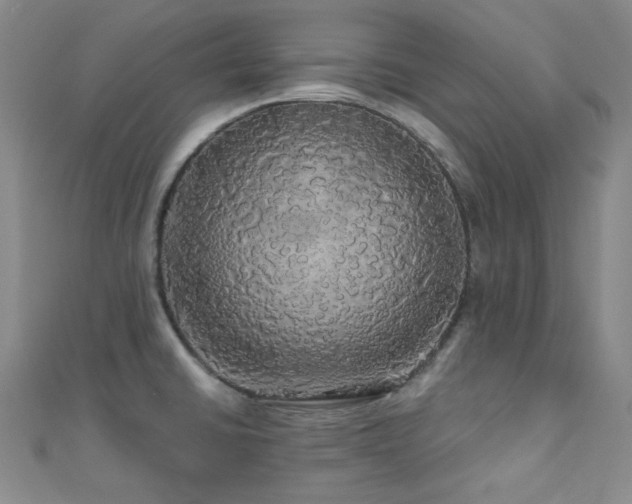 X0000110701430200906121324