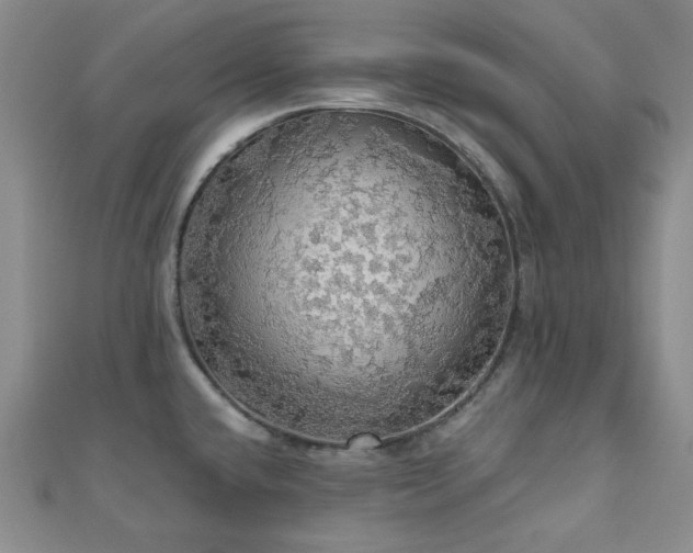 X0000110701432200906121324