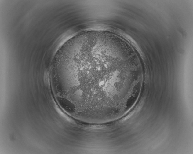 X0000110701433200906121324