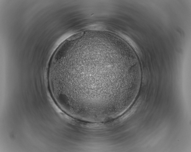 X0000110701434200906121324
