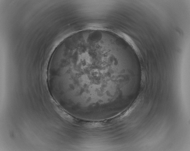 X0000110701435200906121324