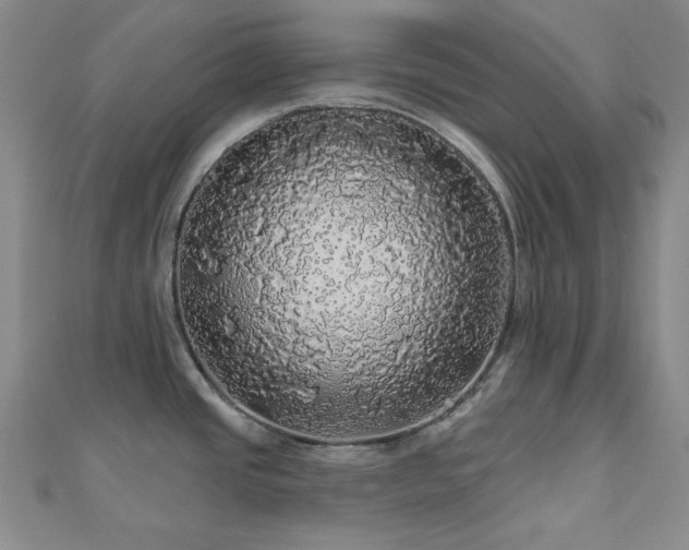 X0000110701437200906121324