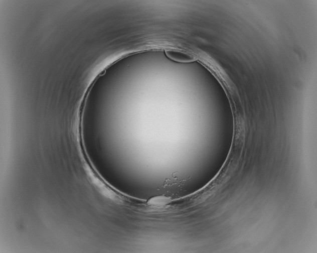 X0000110701439200906121324