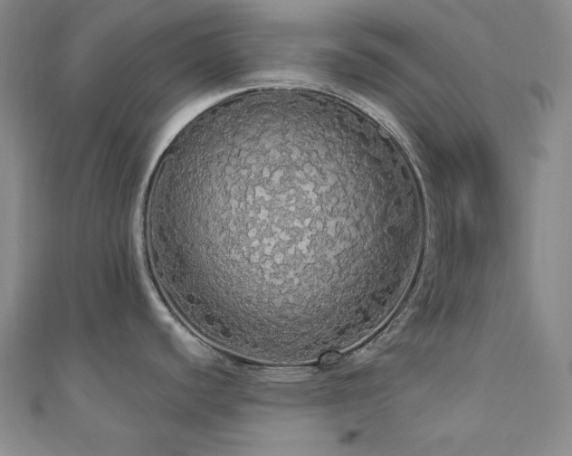 X0000110701440200906121324