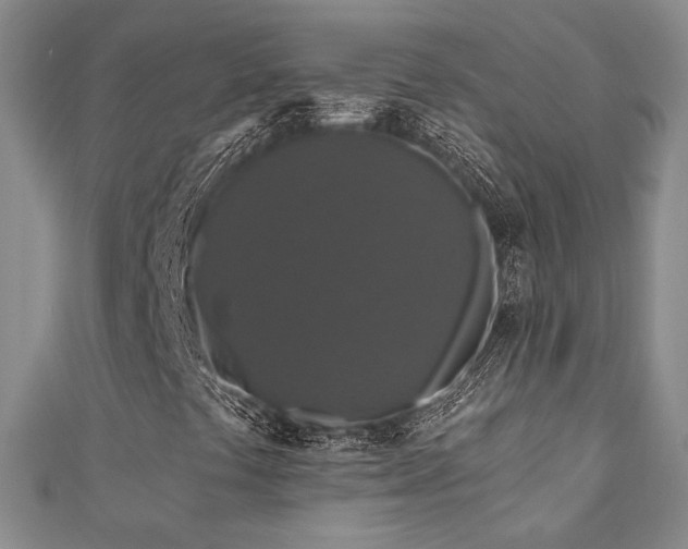 X0000110701441200906121324