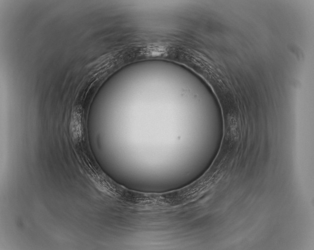 X0000110701442200906121324