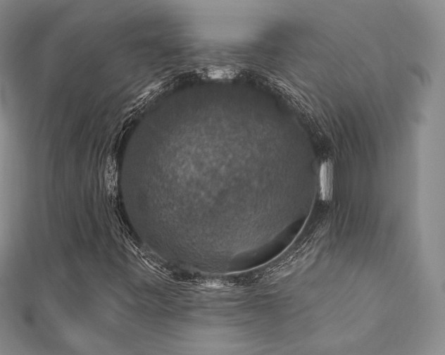 X0000110701443200906121324