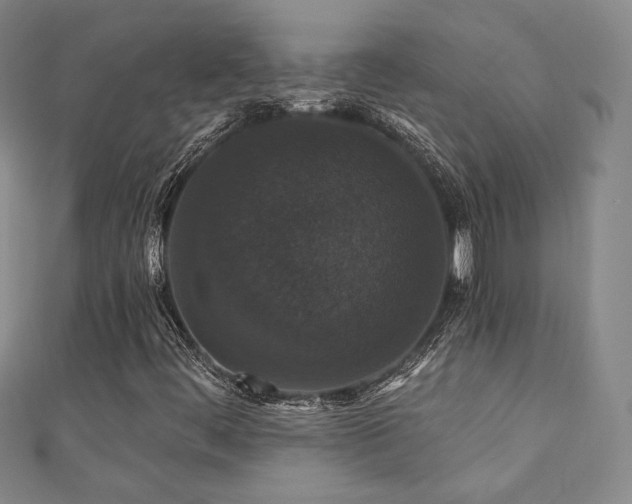 X0000110701444200906121324