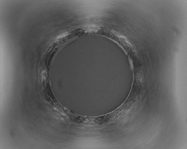 X0000110701445200906121324