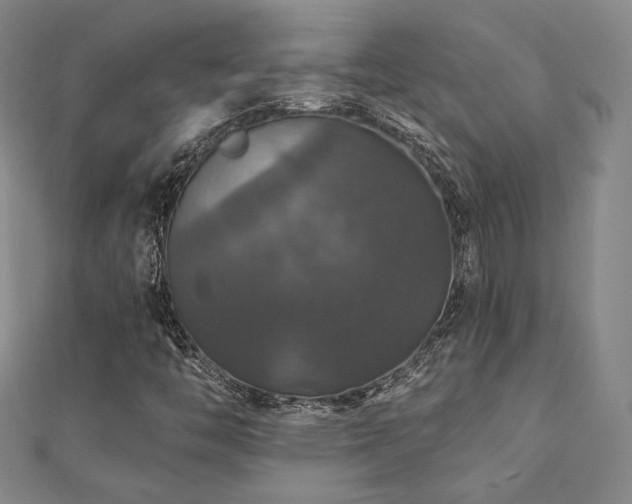 X0000110701446200906121324