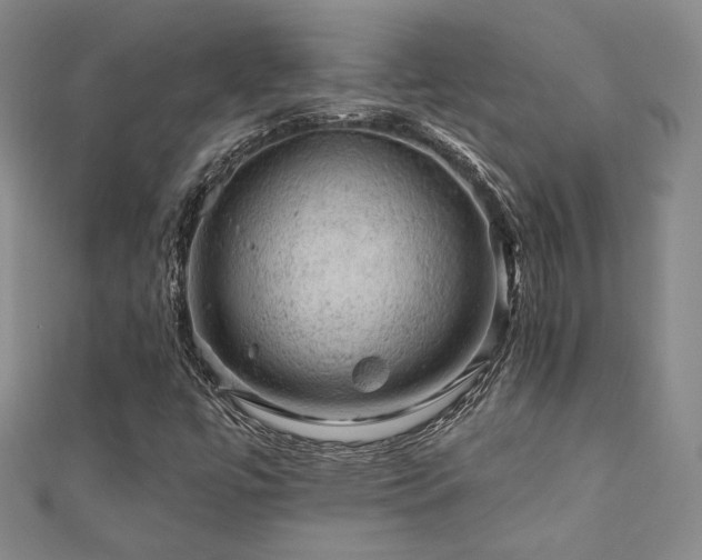 X0000110701447200906121324