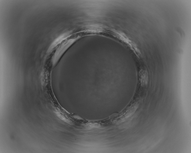 X0000110701448200906121324