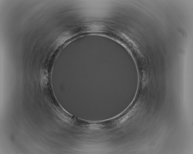 X0000110701449200906121324