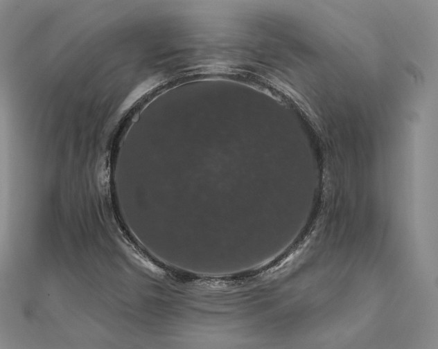 X0000110701450200906121324