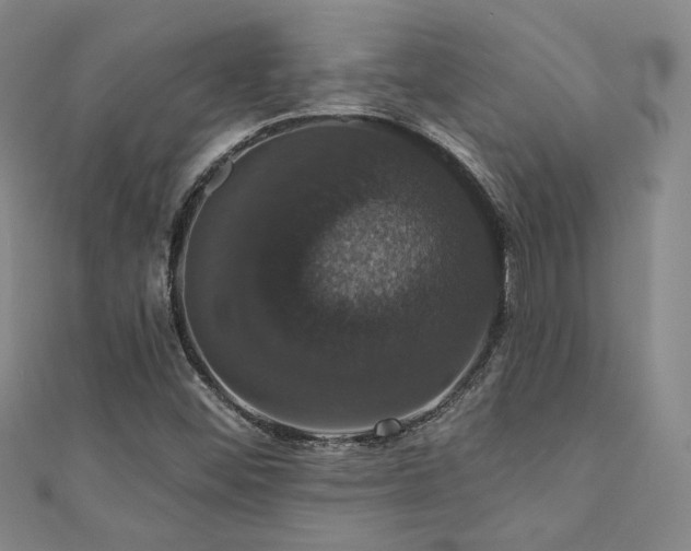 X0000110701452200906121324