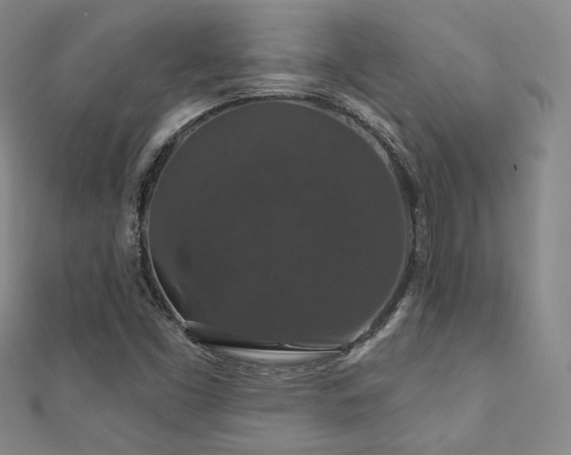 X0000110701453200906121324