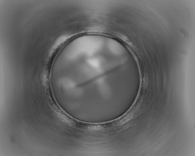 X0000110701454200906121324