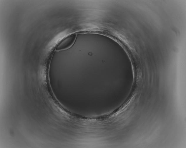 X0000110701455200906121324