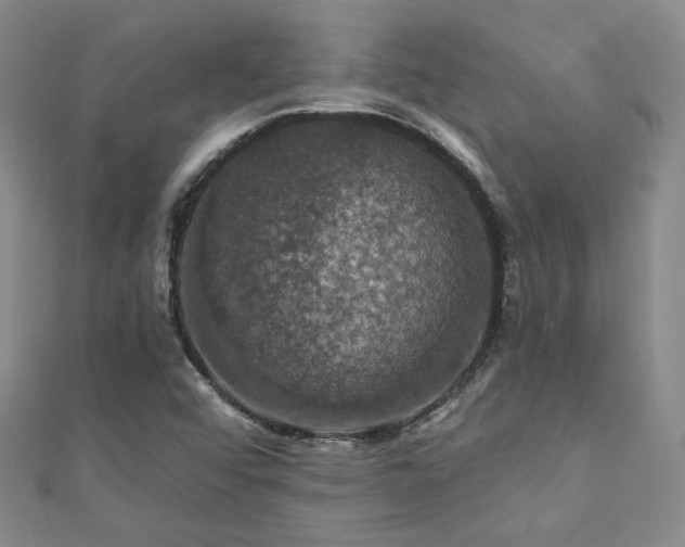 X0000110701456200906121324