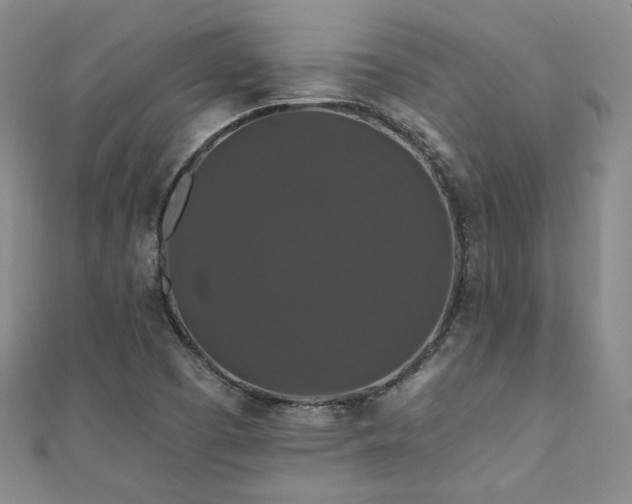 X0000110701457200906121324