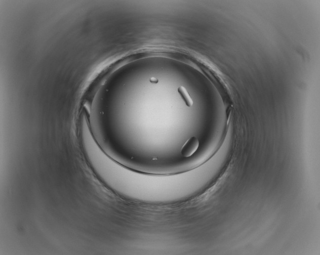 X0000110701461200906121323