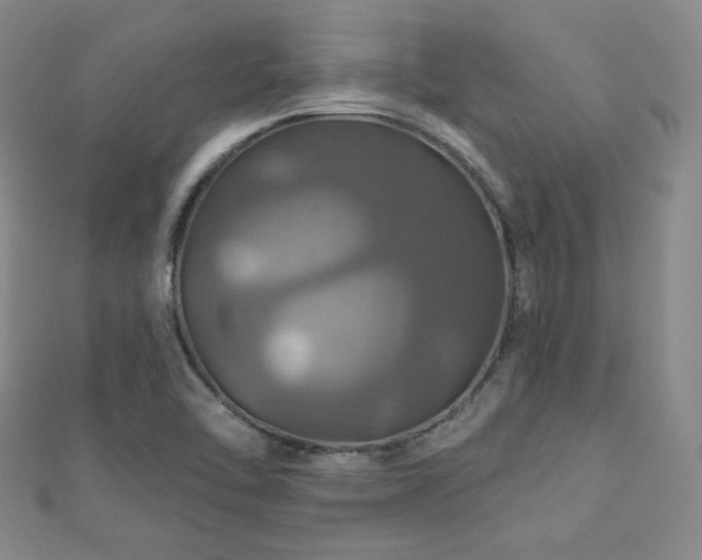 X0000110701462200906121323