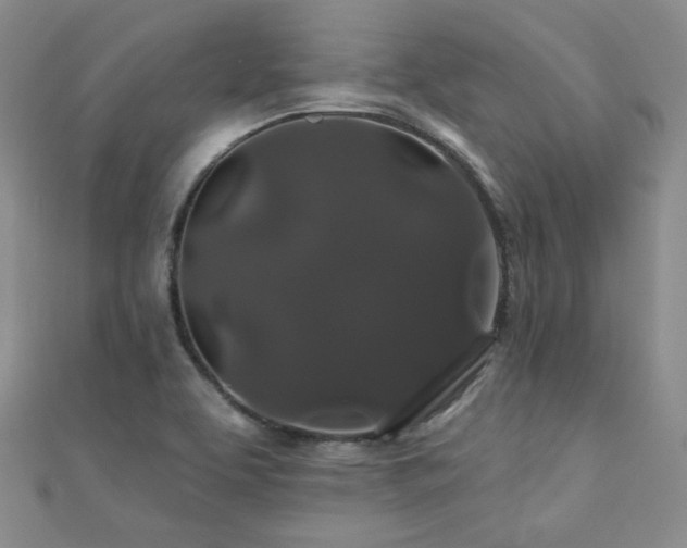 X0000110701463200906121323